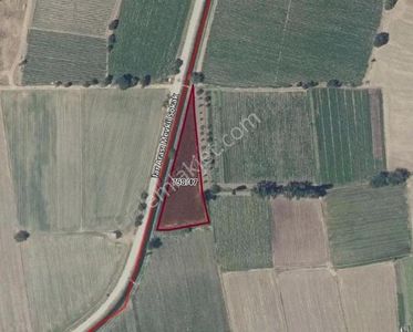 Arsa-Tarla