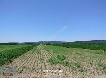 Arsa-Tarla