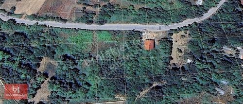 Arsa-Ticari İmarlı