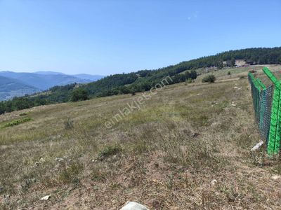 Arsa-Tarla