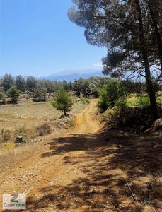 Arsa-Tarla