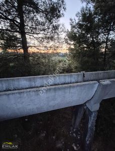 Arsa-Tarla