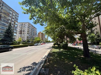 İşyeri-Dükkan & Mağaza