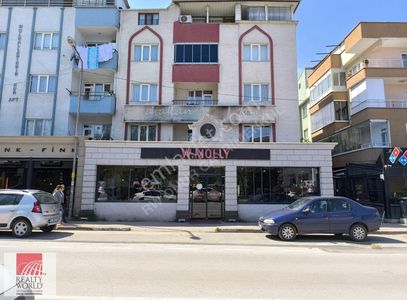 İşyeri-Kafe & Bar