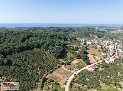 Arsa-Tarla