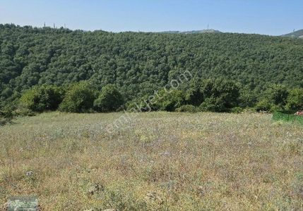 Arsa-Konut İmarlı