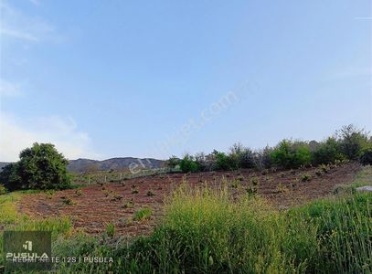 Arsa-Tarla