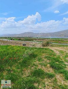 Arsa-Tarla