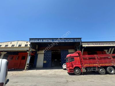 İşyeri-Dükkan & Mağaza