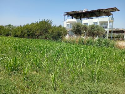 Arsa-Tarla