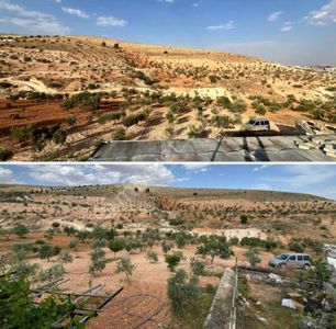 Arsa-Bağ & Bahçe