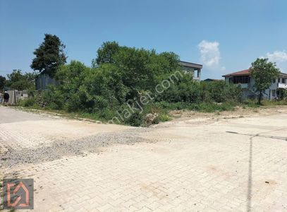 Arsa-Sanayi İmarlı