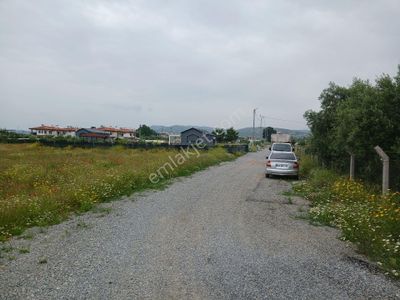 Arsa-Tarla