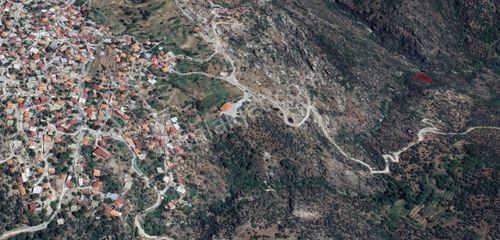 Arsa-Zeytinlik