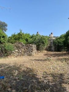 Arsa-Bağ & Bahçe