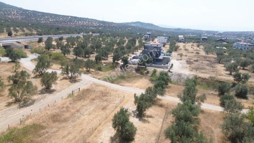 Arsa-Villa İmarlı