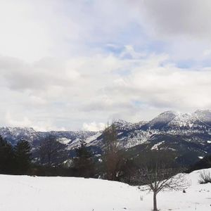 Arsa-Konut İmarlı