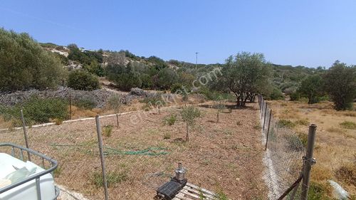 Arsa-Tarla