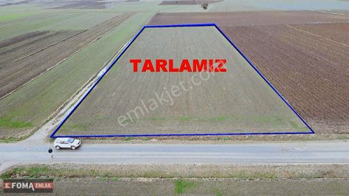 Arsa-Tarla