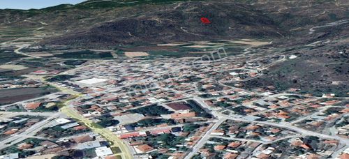 Arsa-Zeytinlik