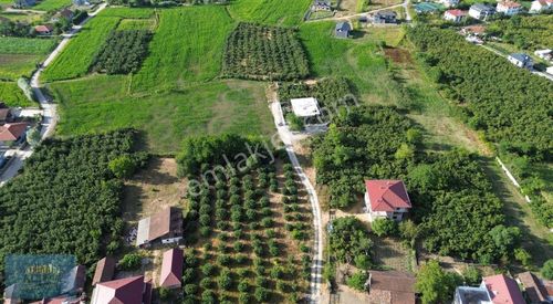 Arsa-Konut İmarlı
