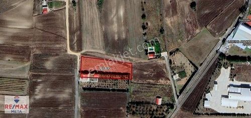 Arsa-Bağ & Bahçe