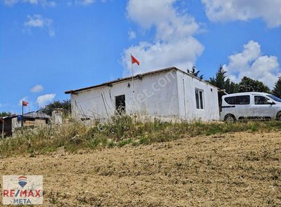 Arsa-Bağ & Bahçe