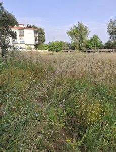 Arsa-Konut İmarlı