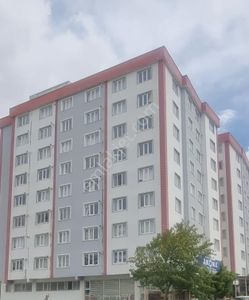 Konut-Daire
