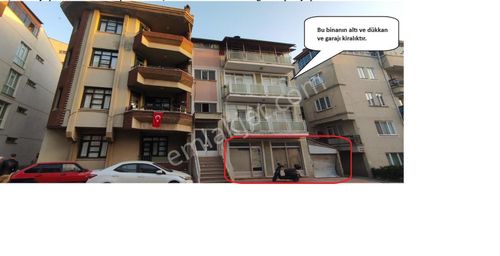 İşyeri-Dükkan & Mağaza