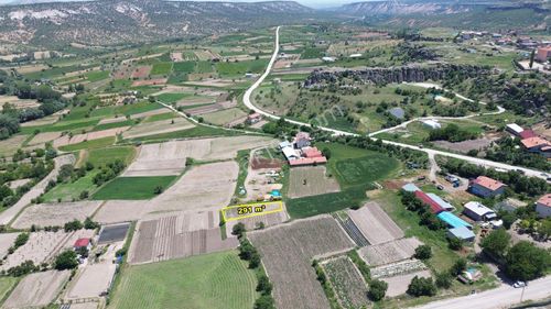 Arsa-Tarla