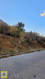 Arsa-Konut İmarlı