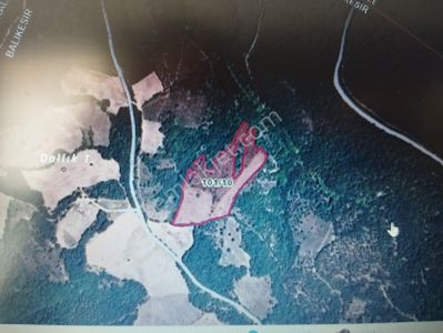 Arsa-Tarla