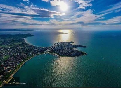 Arsa-Zeytinlik