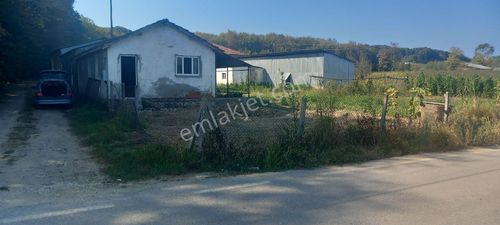 İşyeri-Müstakil İşyeri