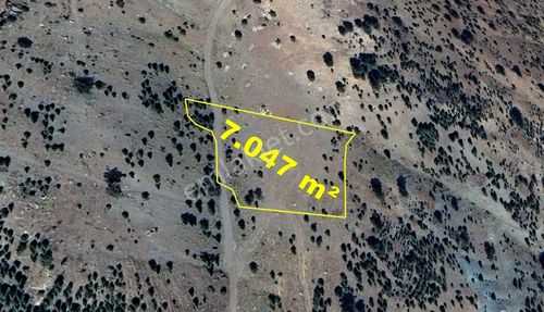 Arsa-Tarla