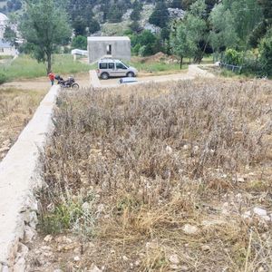 Arsa-Tarla