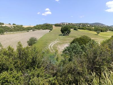 Arsa-Tarla