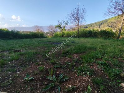 Arsa-Bağ & Bahçe
