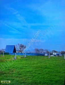 Arsa-Tarla