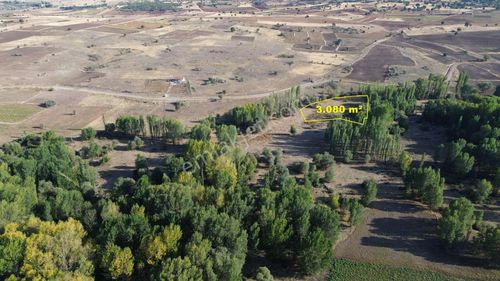 Arsa-Tarla