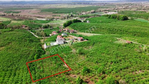 Arsa-Konut İmarlı