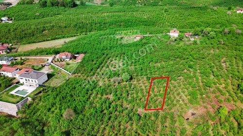 Arsa-Konut İmarlı