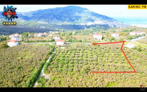 Arsa-Konut İmarlı