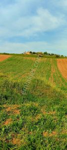 Arsa-Tarla