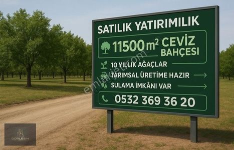Arsa-Bağ & Bahçe