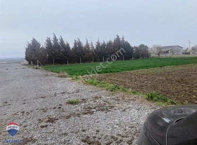 Arsa-Konut İmarlı