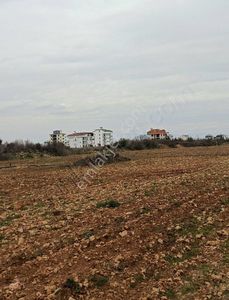 Arsa-Konut İmarlı