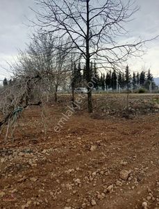 Arsa-Konut İmarlı