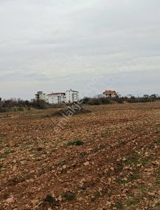 Arsa-Konut İmarlı